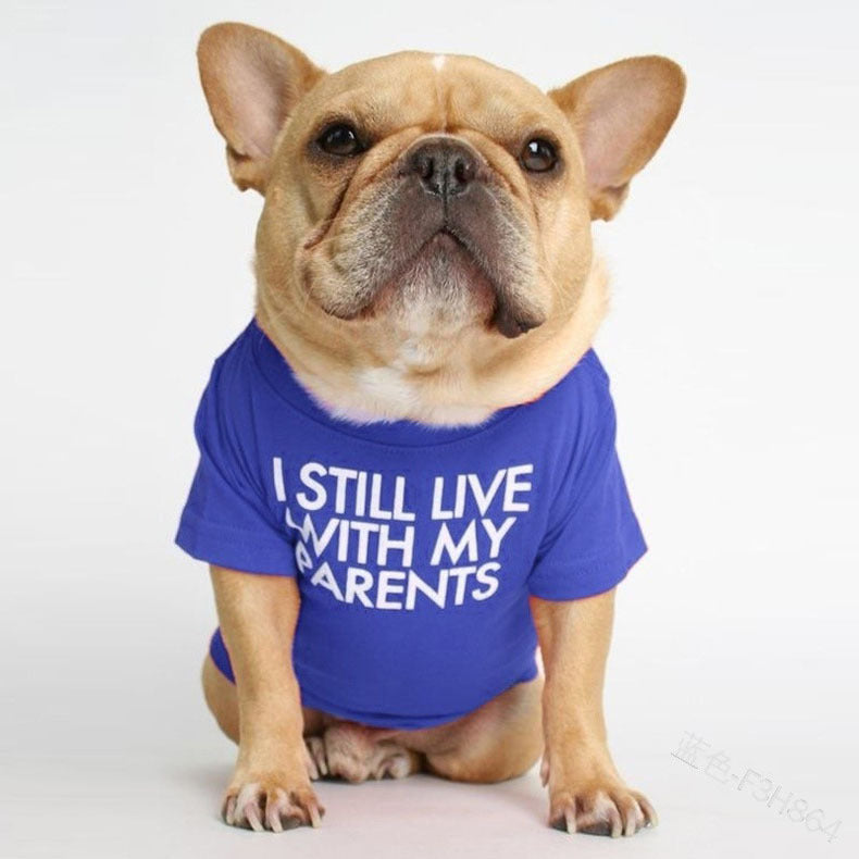 Pet Dog Letter T-shirt: The Perfect Blend of Style and Comfort